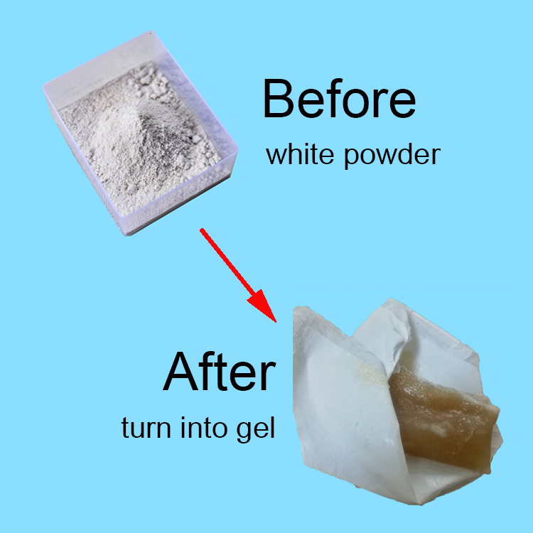 1000 gram hook hanging silica gel desiccant for container